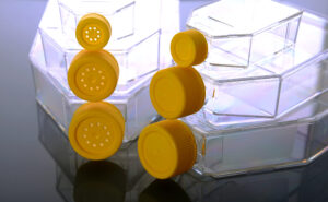 Cell Culture Flask, Plug Seal Cap, Non-Treated, Sterile