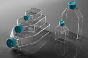 Cell Culture Flask, Plug Seal Cap, Treated, Sterile