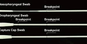 Cotton-tipped swabs with breakpoint.